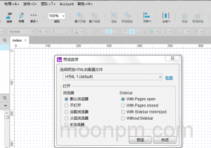 发布预览选项设置界面