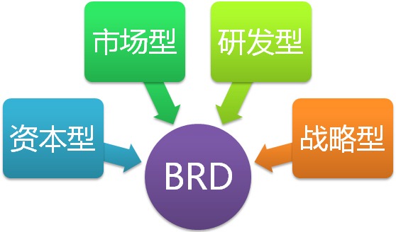 BRD的决策参与模型